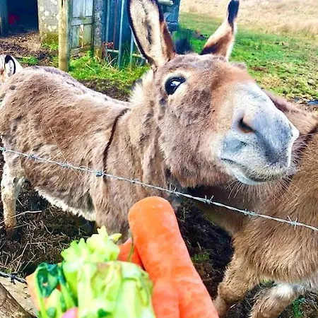 The Cosy Farm Cottage, Donegal Holiday home