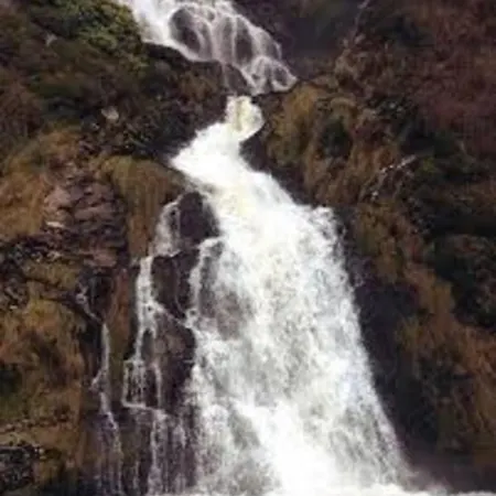 The Cosy Farm Cottage, Donegal Inver
