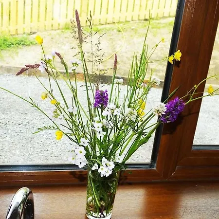 The Cosy Farm Cottage, Donegal Holiday home *
