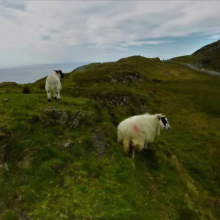 The Cosy Farm Cottage, Donegal * Inver