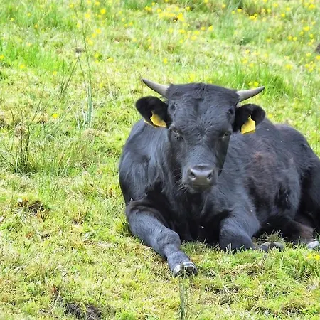 The Cosy Farm Cottage, Donegal Holiday home Inver