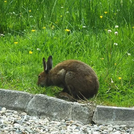 The Cosy Farm Cottage, Donegal Nyaraló Inver