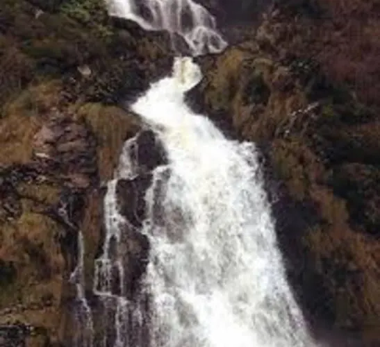 The Cosy Farm Cottage, Donegal Inver