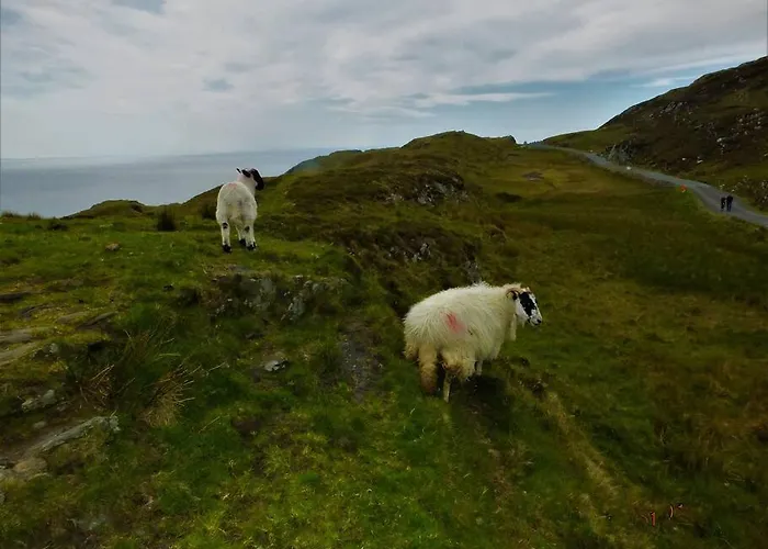 The Cosy Farm Cottage, Donegal * Inver