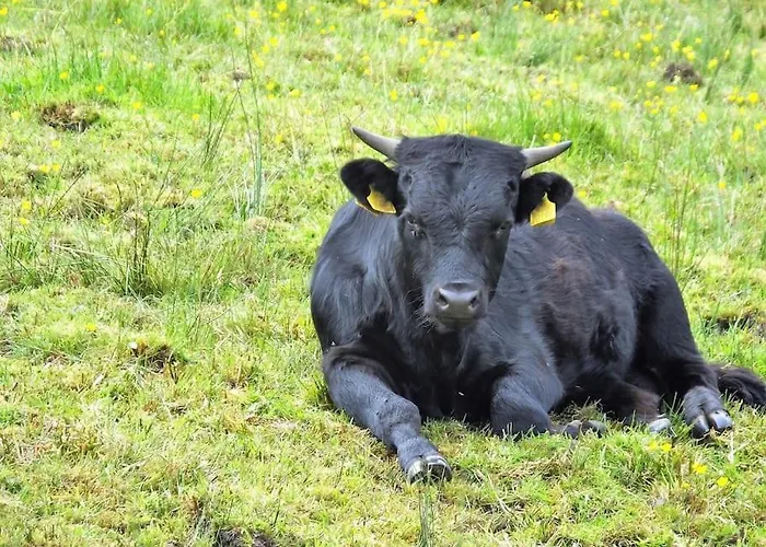 The Cosy Farm Cottage, Donegal Holiday home Inver