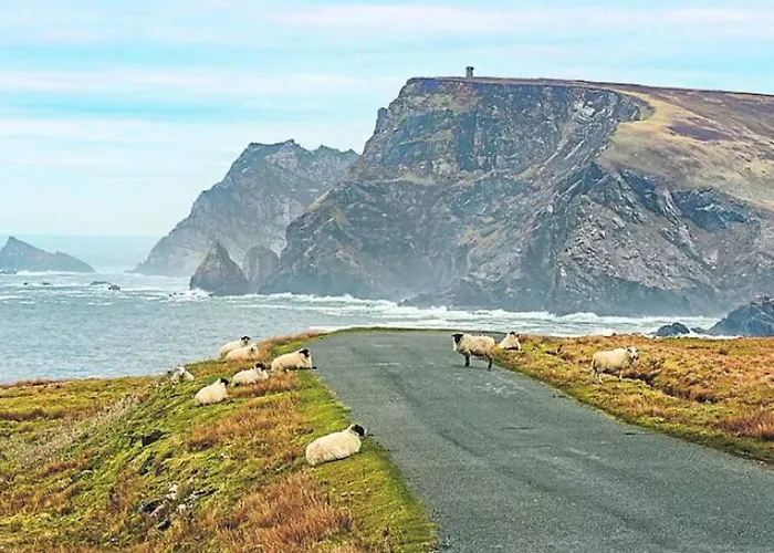 The Cosy Farm Cottage, Donegal Inver